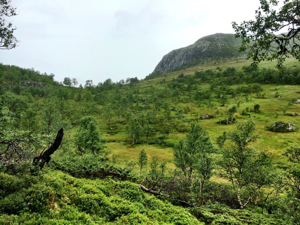 IMG_1668.jpg?resize=1024%2C768