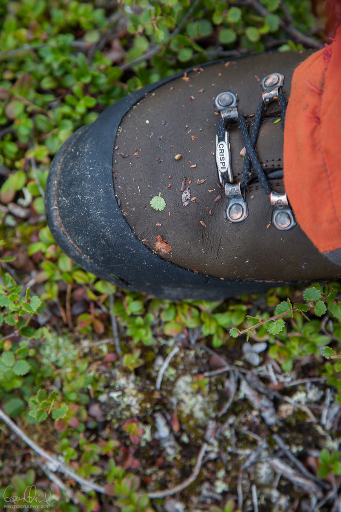 My favorite footwear