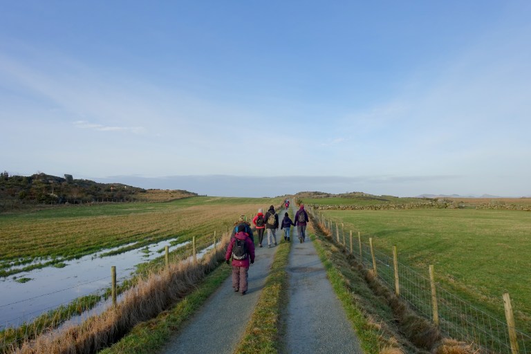 DSC00363.jpg?resize=768,512