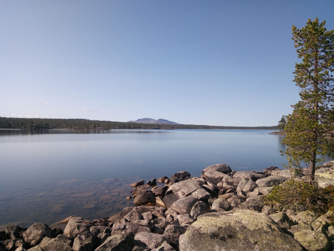 fSdtyu6Uc8ZP5J8FiWv3LKQDHrtVAatrVavxK7JiyAzz5QBlISX1QQw6URH-ytu13gK8ftPhEoLp-DUpC2MQM7OIMQsBf0TyrBhP1SvUQ5I_wcT7bIWT1fI00YKYTNUULryK9ZXxzimxomTb2p70gPhnTGhb8o6Xbt_b6YmHWfApb7xyQ6tKPTgTvMuX5AcN5fu2pdpgpbWmyq1ER_Qmhjmv23Ehadgte2cakuzcijAtj33bHR-W05YFM00Xh5RKVURqAjFjcvIECuyCSMmsDsKCM942t4ftgjiM-r9P4SDKx9kXvAyQq4Ou4G4a6kYGxS4-jQSdSVsHtysK3PmzAlt-iuMD3ibu0ZFIc9JtnJGszNg6S1owOsewPGdXNXj22N2tf3jqY-YvMT0vPrgDpRAxIXrkm1miCHu7ScXflf8J8KBZ8qQ6LBd-xQee2tZEx5FEaALRAdPSwBRHc8fh8ftLCwX6nYNo137OIpYQXc20EG75sEdibRxAlScEx7DIn6GCIuZlKqOIuiheKhqLZsVvJlhdgfVFhLPAPHqWVQknfxbHJYi9JMc9D3hQ0Elp60amU7tnuuKmbqrloxFiAyrjqveV4aJiqLkZDwQ6br6CBlf6id-wPParK4CRo9Wc_EwQhZvGY7zzwl_1RgQ3iv6IvtxIlp3fFzDVnzF0Y3_c92m7vEotGza5_tueqHuG7Fj4oRrGZC5sK86Xgqg=w1840-h1384-no