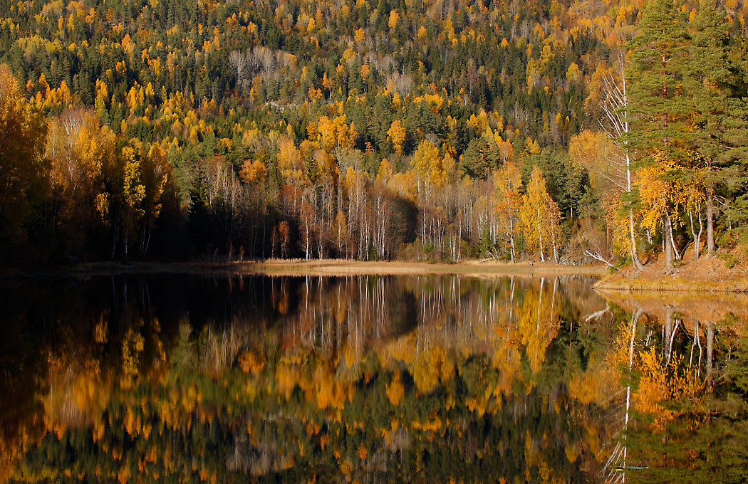 435273_large_EC1C7A22-A8A4-11E3-BADA-780