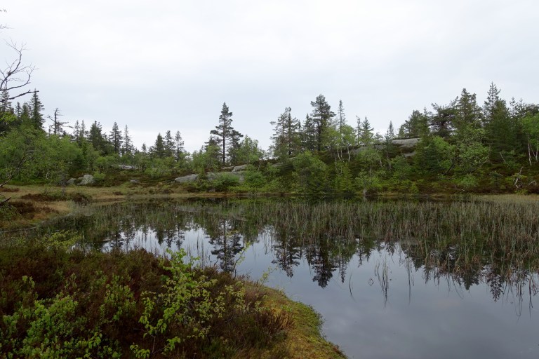 DSC01293.jpg?resize=768,512