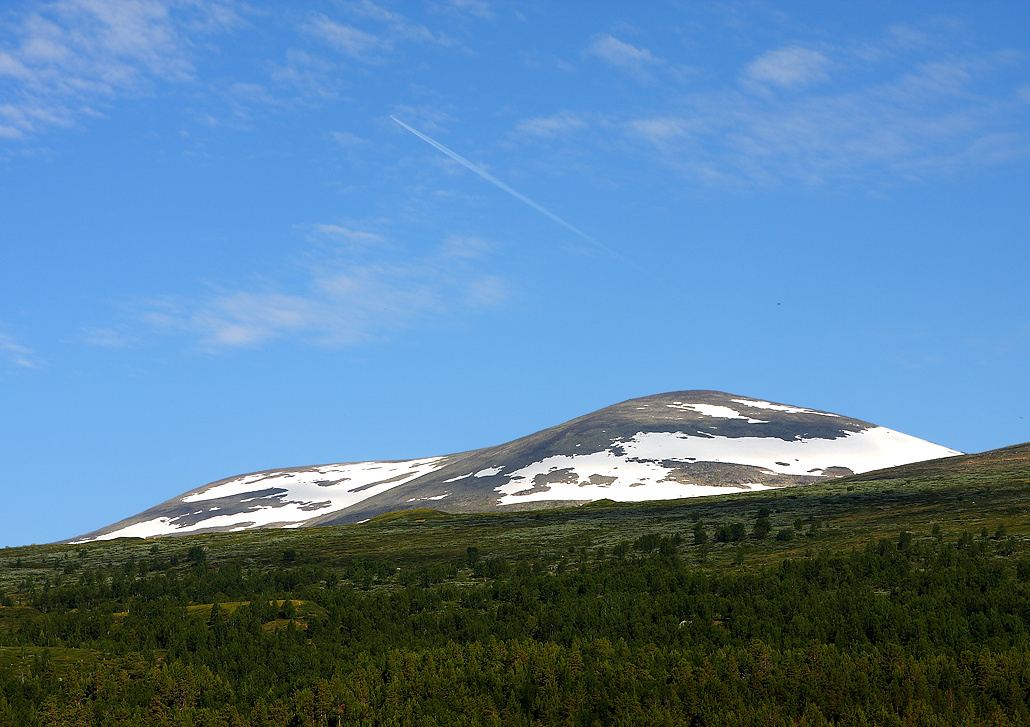 454978_large_E80F3F78-A88B-11E3-AF99-156