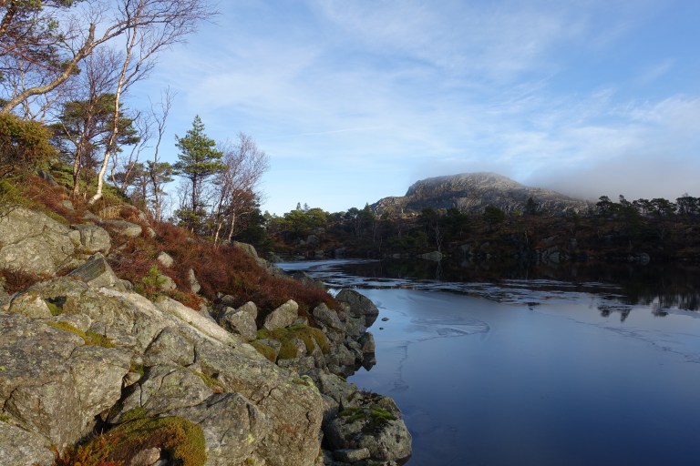 DSC00414.jpg?resize=768,512