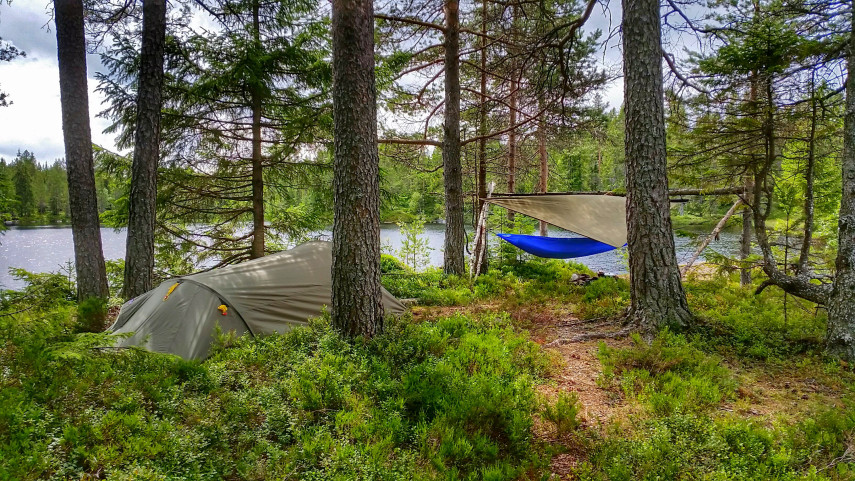 20150801_1352012.jpg?w=855&h=482