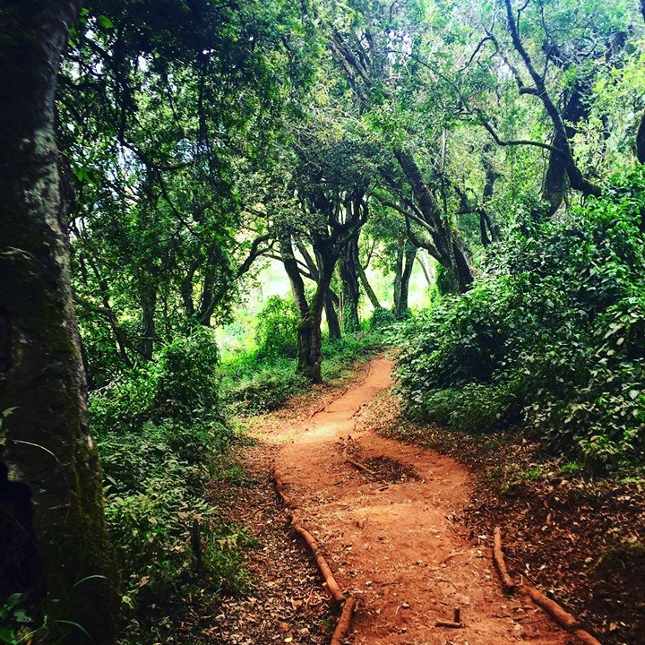 32392080_2082061025169898_32343913334686