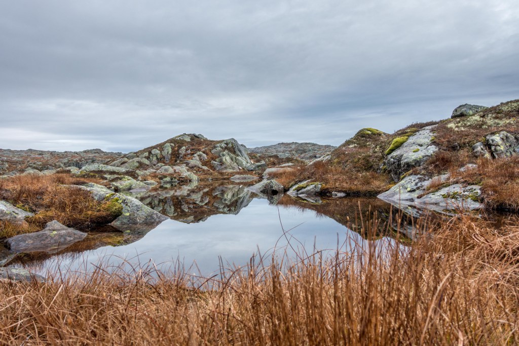 Vallresknuten02.jpg?resize=1024,683