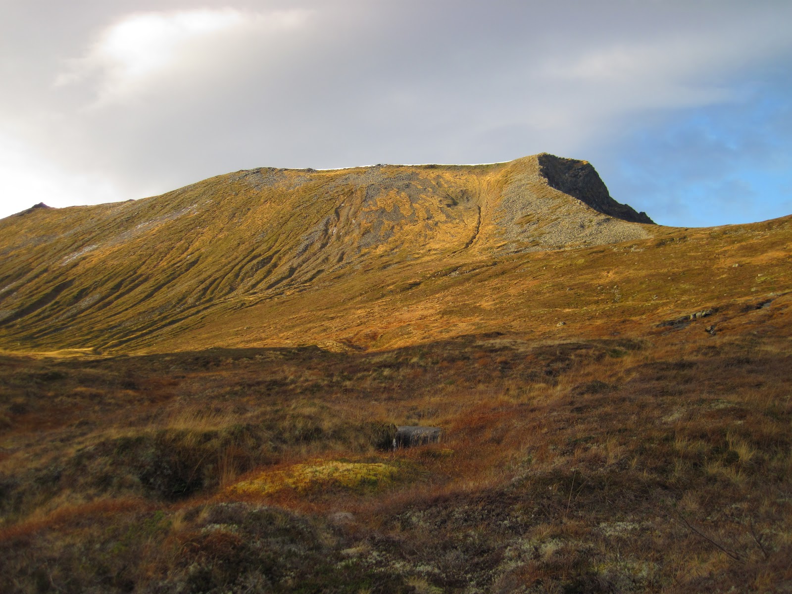 4%2BBergehornet%2Bog%2Bryggen%2Brett%2Bo