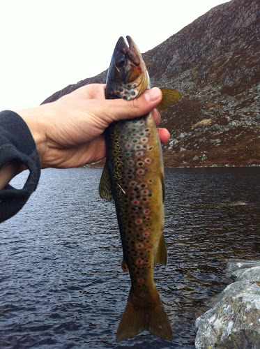 Photo%25252017.%252520mai%2525202013%252