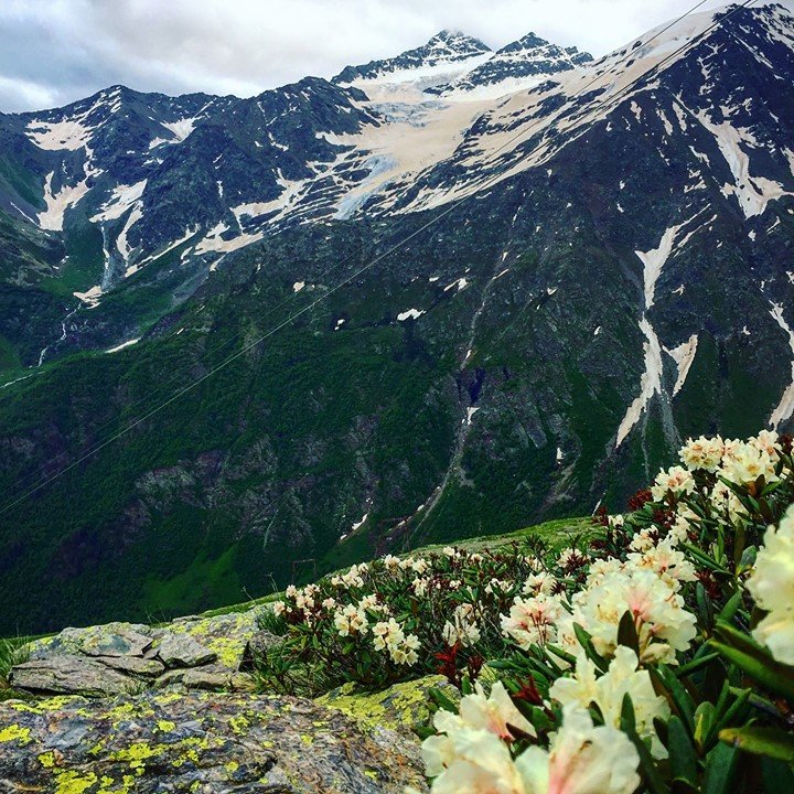 36428007_2157319294310737_53675648419280