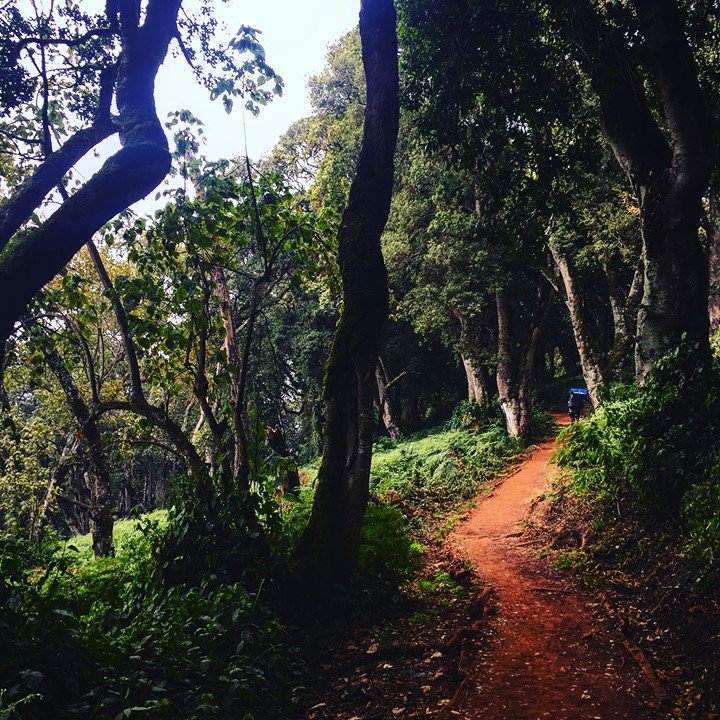 31093434_2048843145158353_19409604376296