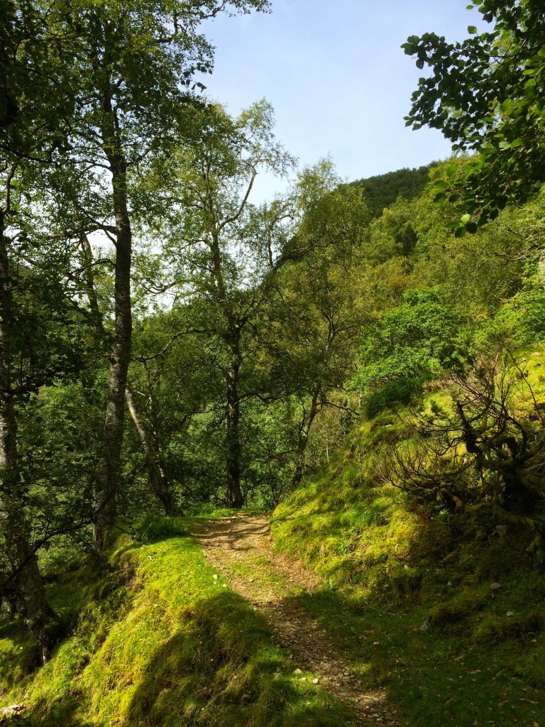 IMG_2714.jpg?resize=768,1024