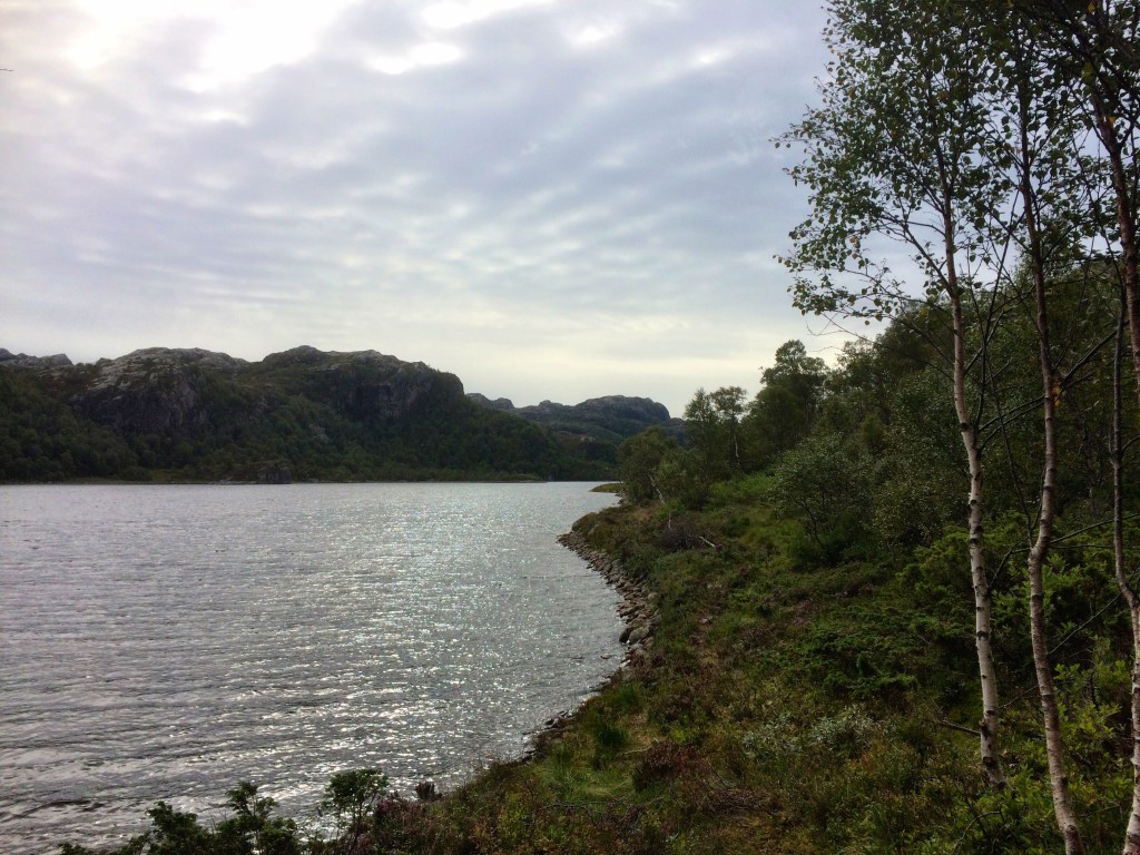 IMG_2723.jpg?resize=1024,768