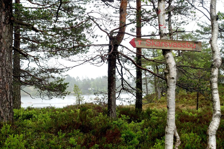 DSC01285.jpg?resize=768,512