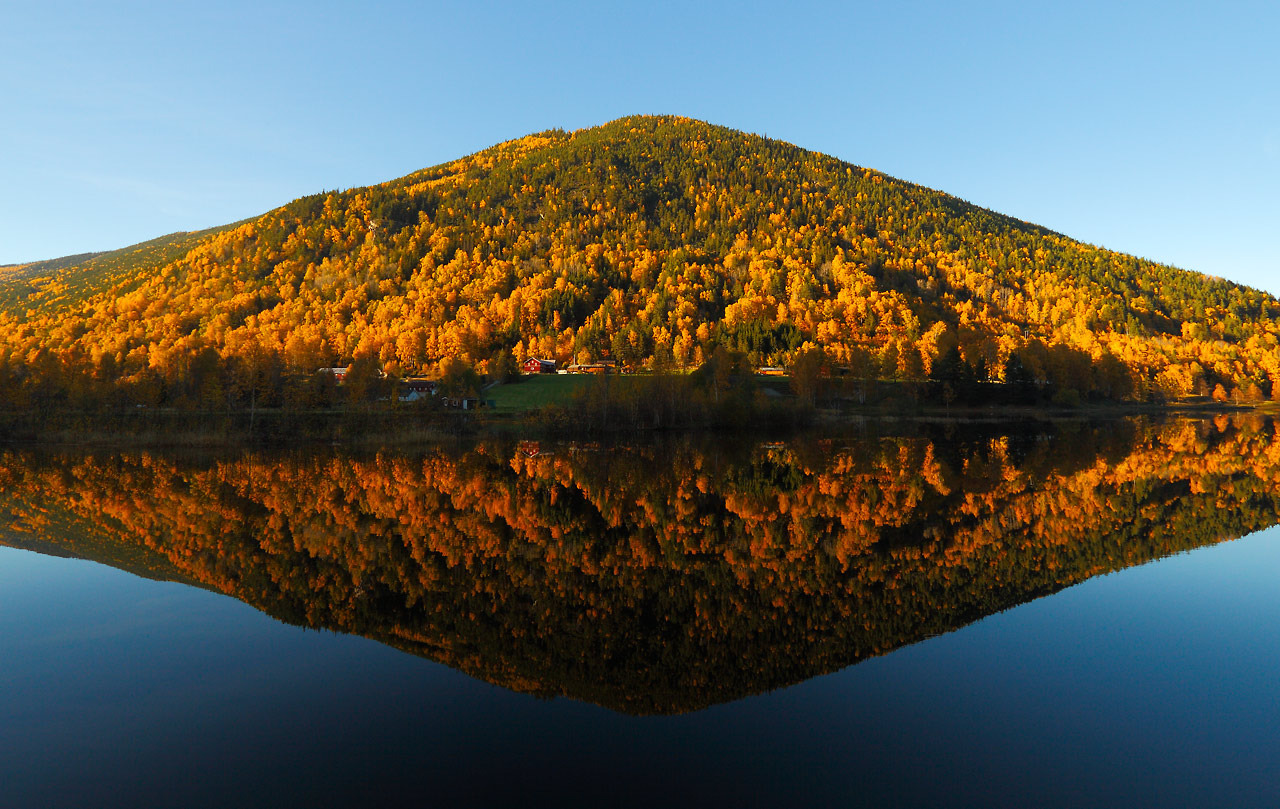 646600_large_839A6CAA-A65D-11E3-AC7E-E60