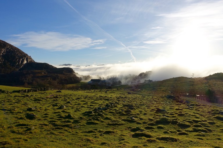 DSC00396.jpg?resize=768,512