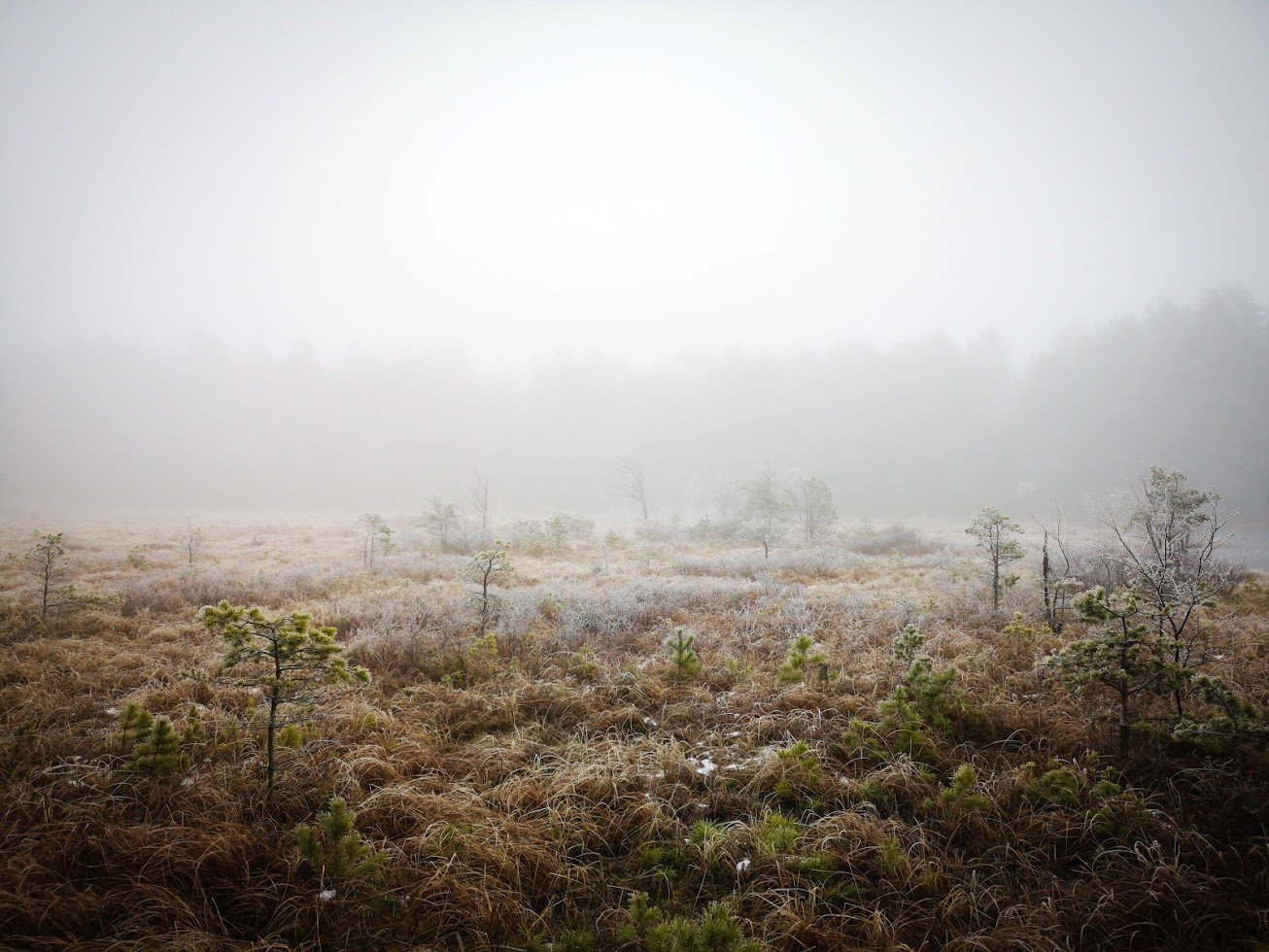 HH44OGLq6ON8aUpUIuVsnlj9-OzeL4Ml1-7vD5EGilBHdpIdFWj3Kj5swbtypsSrYM6oYRMUoJf8WAbvDsK8jeLyr5aHsvr-zPopIZuQm74Hlxrk7SFOXo_gf2_693oOStbPzGPHMLDQdG1g3jL6S7sHFPsNPluO1DzjidLwhjNOn8cDXp0ZRxJrJOt9rUAfJd71Ac8kMbIYD8YMQyigXkMI-q_ERIgbEhPTOdgzsuKHuVE6XqRKKb3pMHvgRORnOlDS4kd8nA4acqYtxRZ4CeP03dg8m8VQ8DmInHYkZDWYM9xYQrhHY7MfAfNIrZfMueVT-DDvSPaTvKf2eNeJF7KejFBeW4yFqsPaGR6Gu0vmJZLTS89xZbeC9U0Y3xQp5U0-GKmEWzLxtDekzECncbU4zDmIw12DUIdsfctzyDGbKtkq1NGi7NOx_ibb54nFC3ts0hxeohoEgwboD1PLeoxXtKANr7aCppbuArvz5vcnCkzad3u3k_NU-eK3IuIC2iJ7CwN_XqvqCBivhoH63hKql6XlM7T2qrQ6YvNuHauLIaweU2tq7HHLHefF_5B4IvVhOhqp656k21DCcTScL6h8kL11FLwWAjZjNYAUIwwUcevJcERxe56jzPL_lQP77T6vCdbjga-OL-f-pUcEPPJcAg=w1306-h980-no