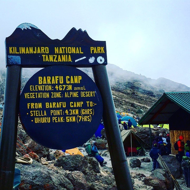 32399298_2077929042249763_65896739403464