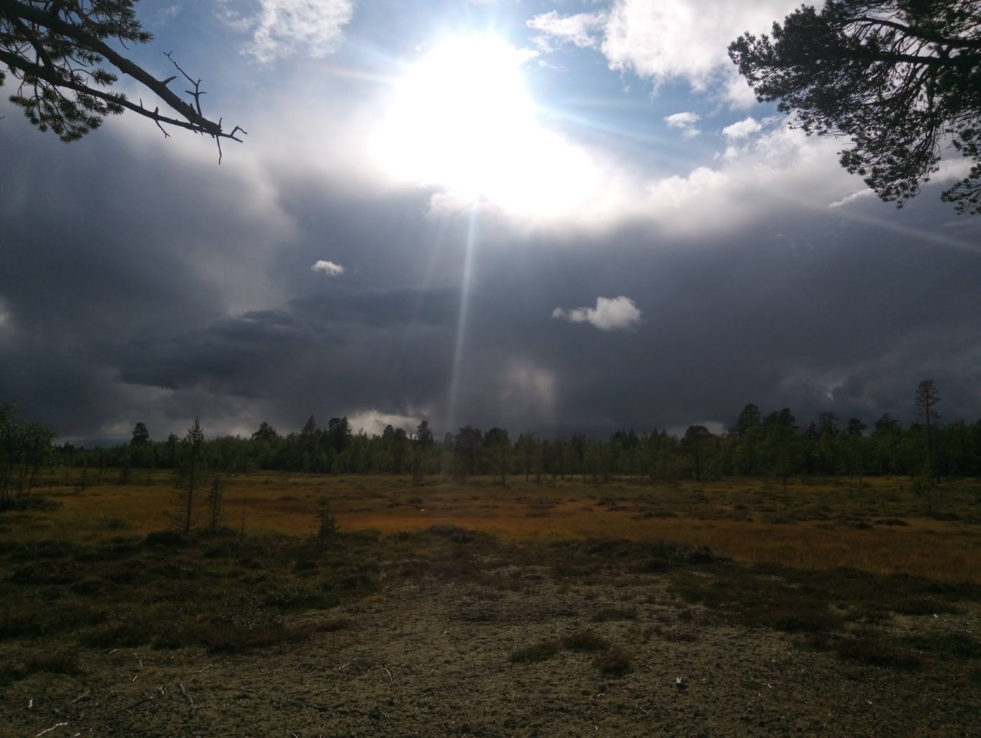 PZVKEthF4IBdC2evCFf1-rCudQ-vp0NzDzkLMVXMspPVewmueZ6voyDOqVhxLaUs2eOlNP6_ZRAH5aLnhiNRO4SNcv58LAqorA_ZDMzRT1PRDDh99ZD3i8b_timK2YppF8CoQOig_pvCEuCWbt_J_uxBCOnnkiidMQZcr8wSlxmPNJX2dPe2NU5dgtsryR0Zhi0UmfDN6zoTcaEyx_iCAnmwu8O5HolyU0XGLa1mqctFsDZg039tIQHjjZNFIsragahHp_v_2BkJXcCYrsBJlQU7fafPowChl1HdYBTVk8JZqBSRoX6bzyidzDaK2dzetRgpUxf7pWE860pqLeehU5tyoHH-6rVfClK3OAtXo3iUEKBpPOK0POMklDpP9CH2nijDZIfr53uf4wFfiE-PcrqMDZQ1nwlnPBCdG3T-kFvHR7iVXhAycqZDRxedjv5l2p-qfpHYae84azctFAgr9tW2W8eZGXggo7z8727FgM4UbZE9DkWmvfWNxinkQgbtFMZJo3acTuTEOoIlsNr3P0ByFuxCZVeiywX1jgFPj9R7Hi_d8h6OkarNv-r9xZvSiLeSd7reKaey-xXmHbvC2BEDLOhpO21V2EBKAC8j8UifemRth7PtQsZOcZ-ZoxO8BEcrI6hKyr3UIj9JQVTo2YeYmOeMIsYnpkwyKEzEjcCFC1WI5ws6fYJtov8l6T2wGxNC1DQxE8Me0fxlka8=w1858-h1396-no