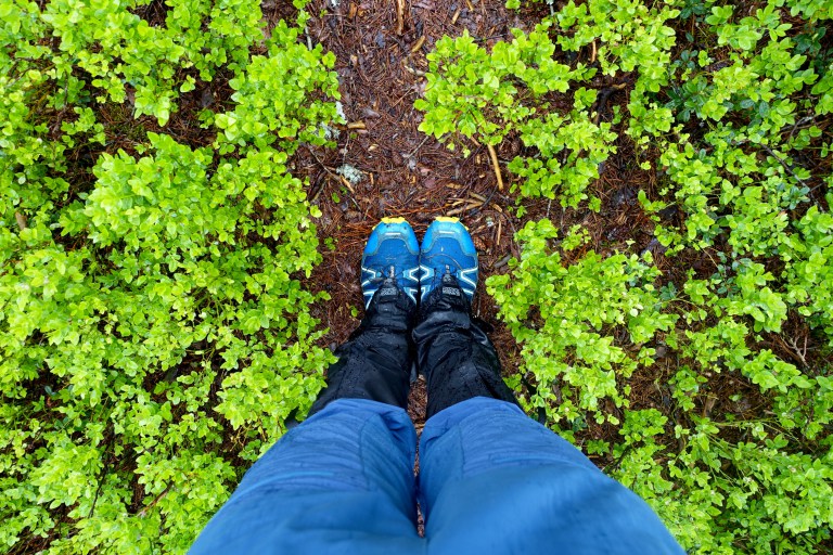 DSC01283.jpg?resize=768,512