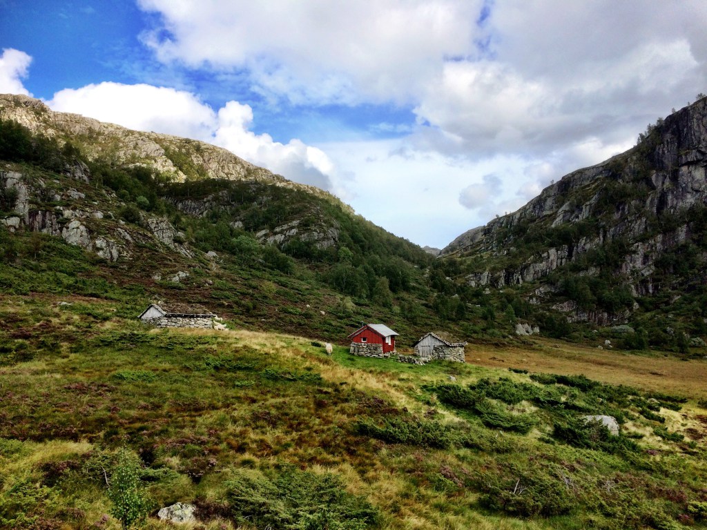 IMG_2716.jpg?resize=1024,768