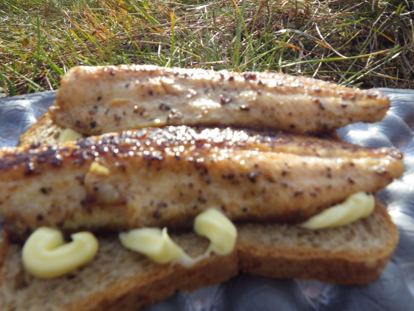 Kvistdalen%2B5-7%2BSeptember%2B2014%2B03