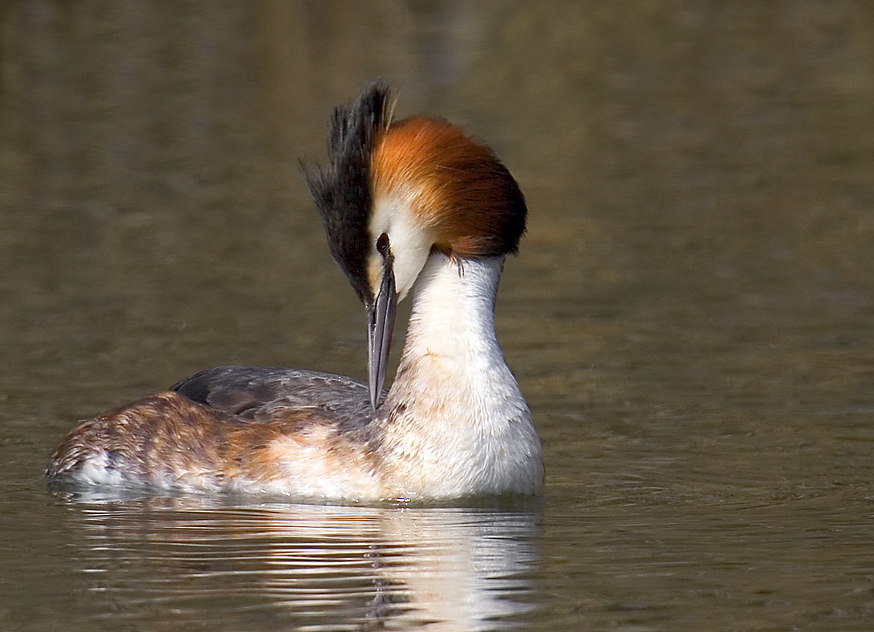 823348_large_DD6F63F0-E331-11E3-8A2F-670