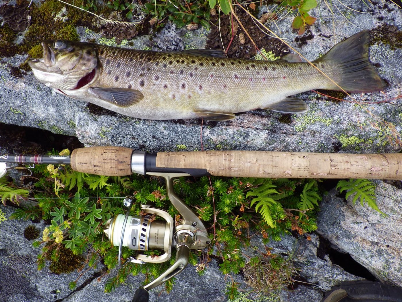 Kuvatna%2Bsammen%2Bmed%2BAnine%2B2014%2B