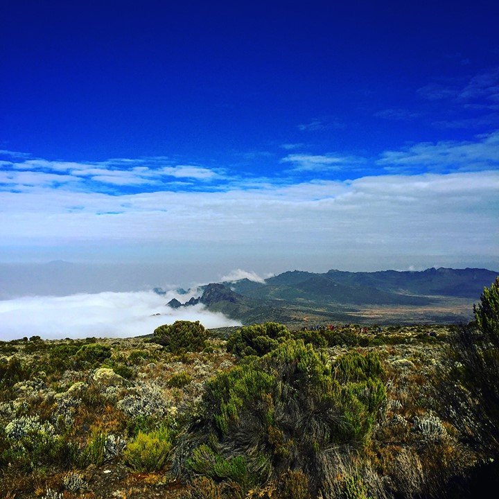 32509935_2077924798916854_70641030071844