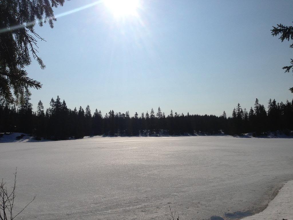 9320B43E-0E52-4993-B7DB-BA75FC1DD171_zps