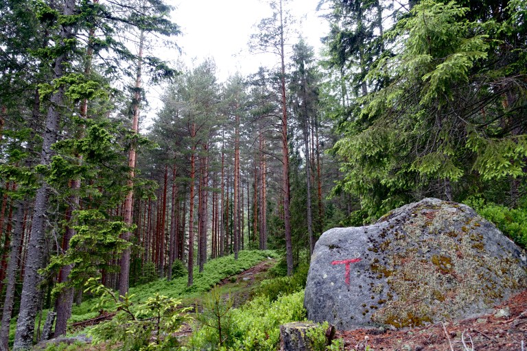 DSC01275.jpg?resize=768,512