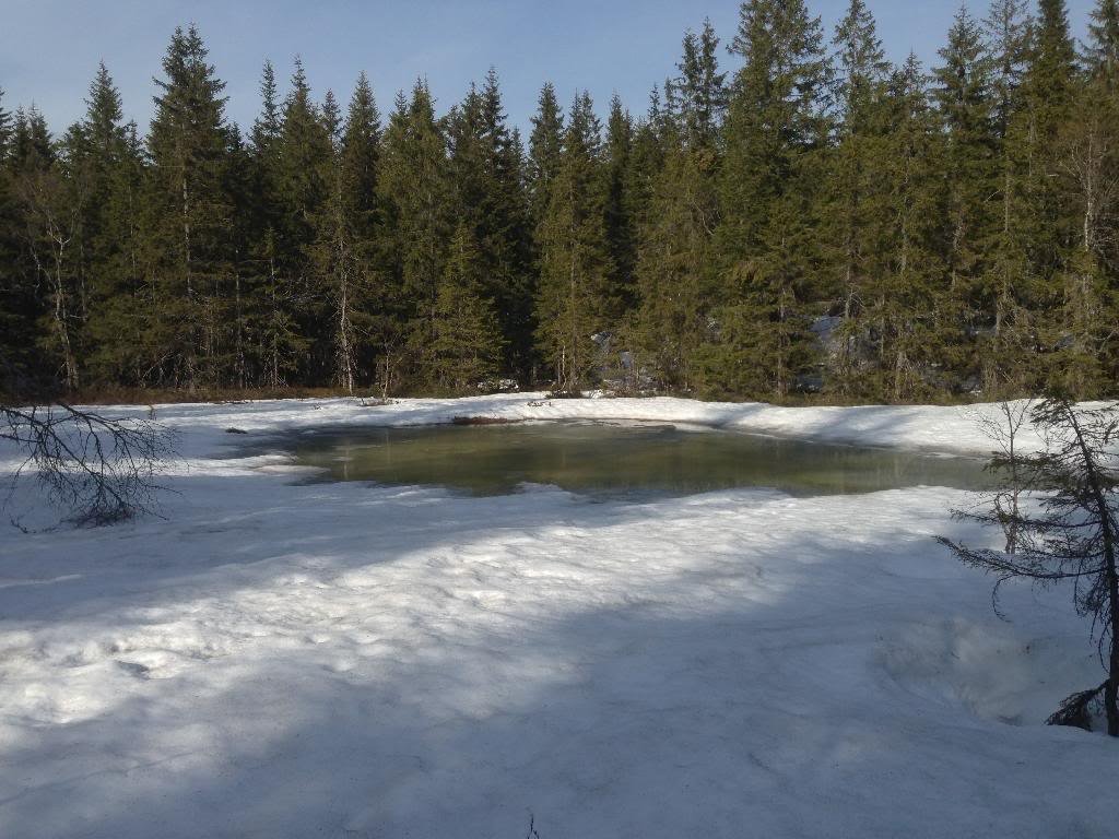 9480C71E-BC3A-4BA7-815F-A3336BE9E2E9_zps