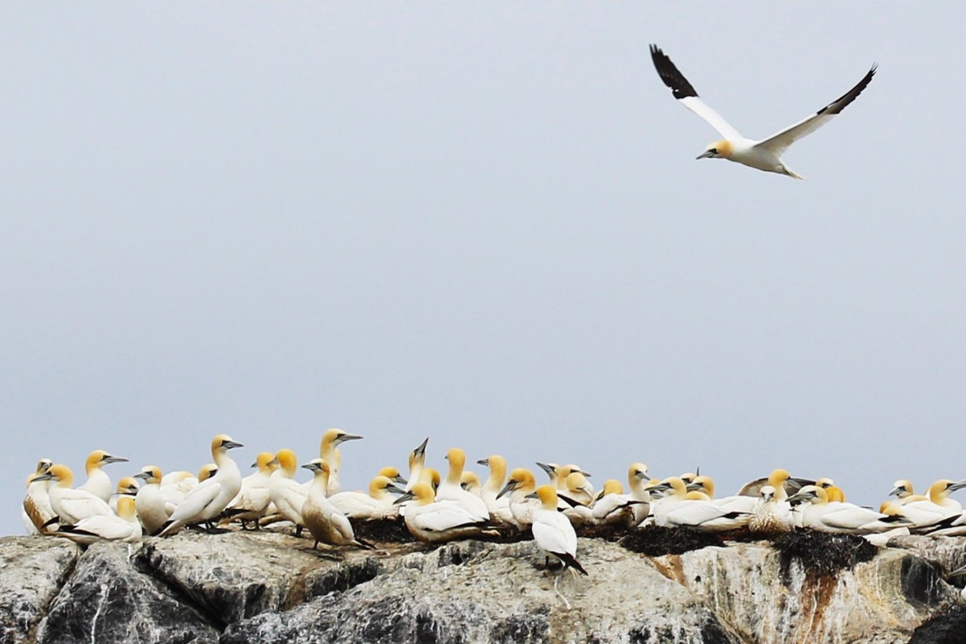 95793807_2865216770198791_19726204841094