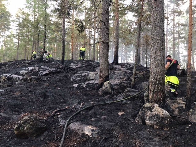 1534318233949.MaxSize.msw-w.w-749.msh-h.