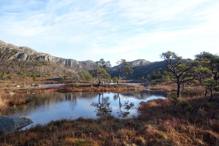 DSC00419.jpg?resize=768,512