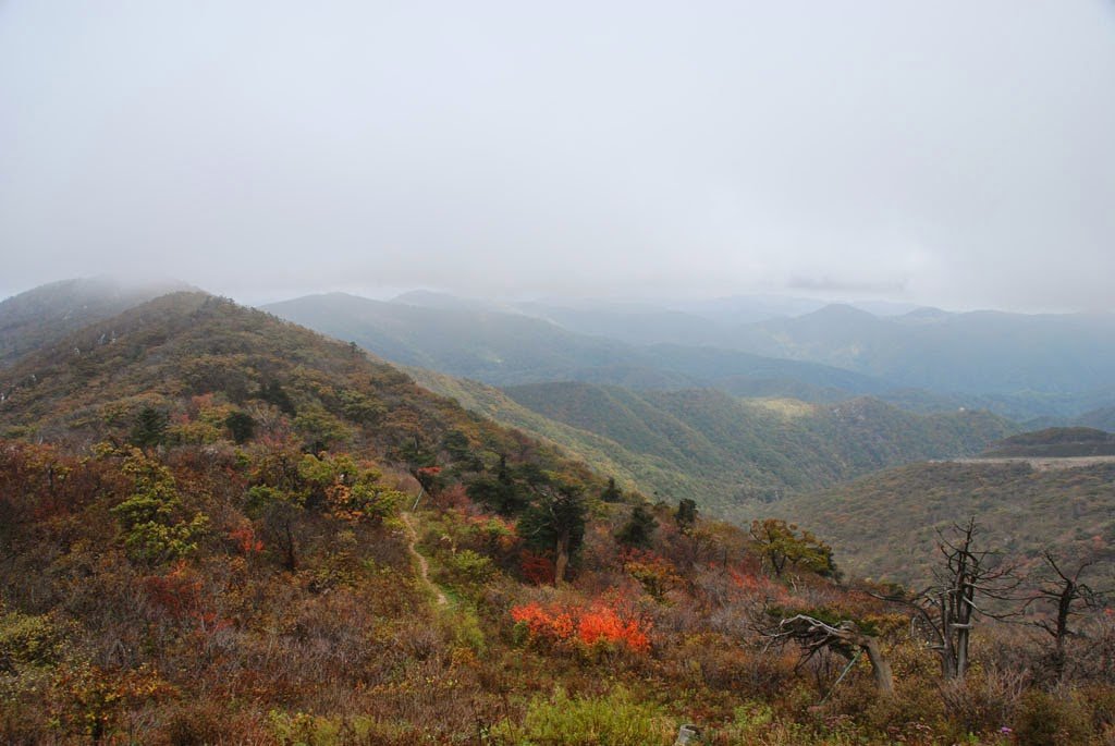 Baekdudaegan_Day32_03_Taebaeksan_ridge.j