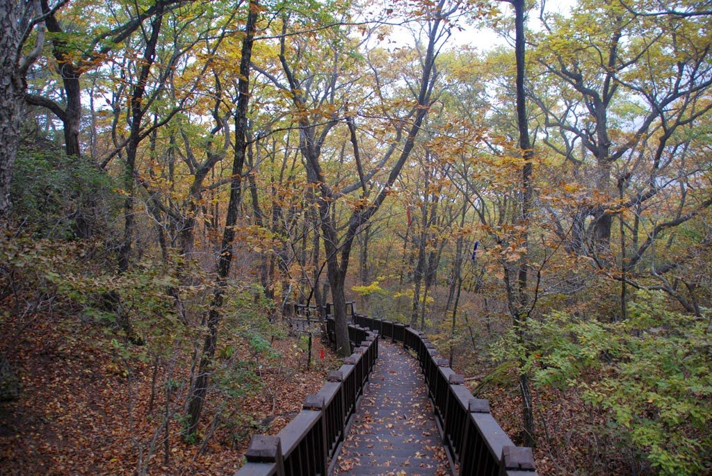 Baekdudaegan_Day37_06_Descending_stairca