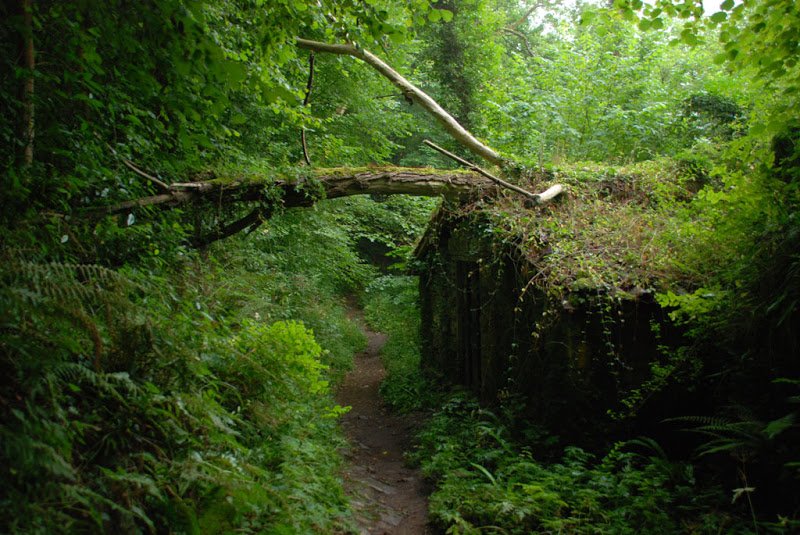 CaminoPrimitivo_Day05_03_Walking_through