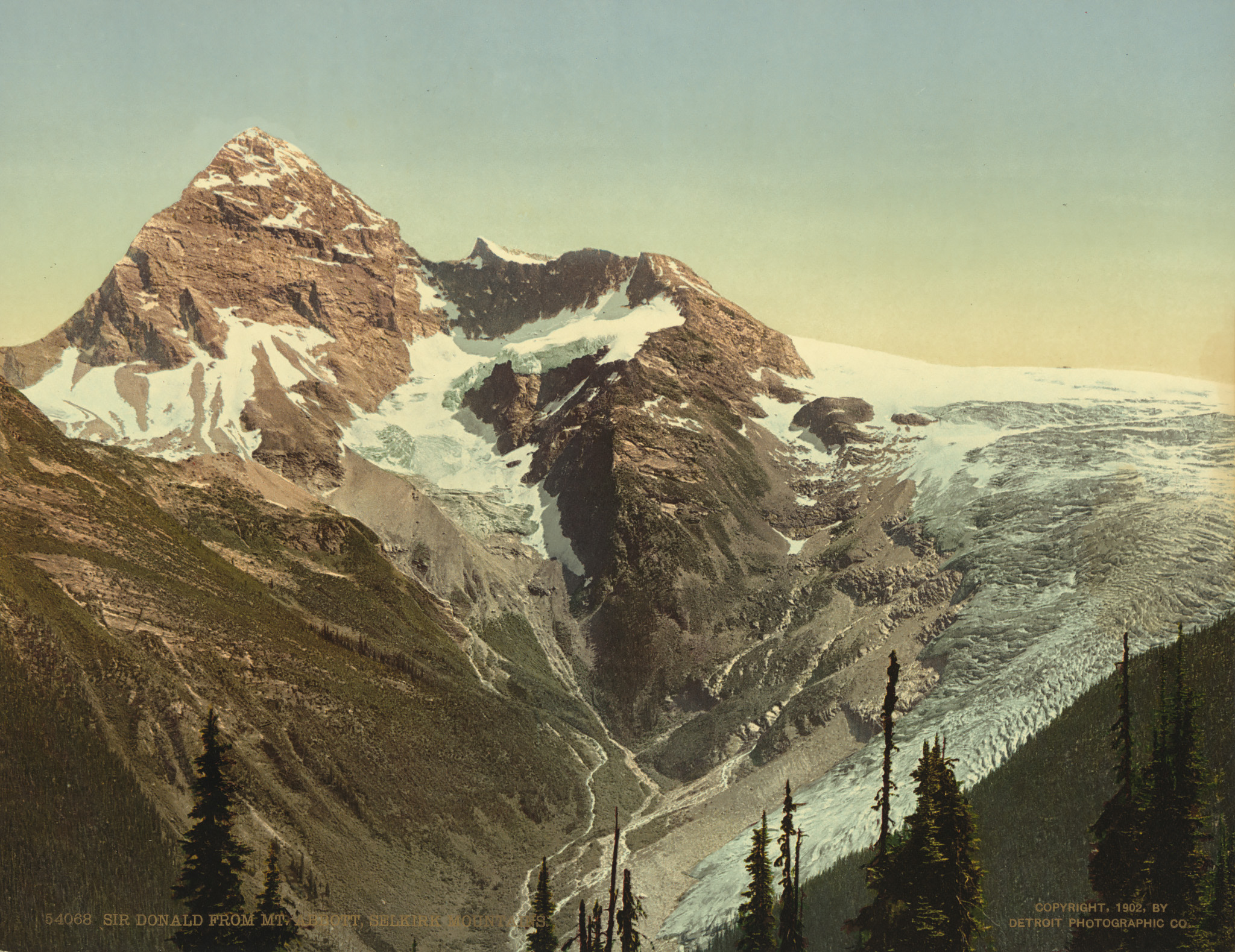 Photochrom fra 1902 viser utbredelsen av isbreen. Mount Sir Donald tar seg godt ut fra Abbot Pass hvor bildet ble tatt. Bilde tatt av Detroit Photographic Co.