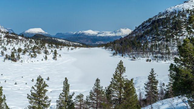 IMGP3174-Pano.jpg