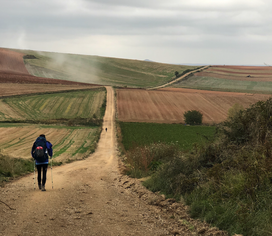 Screen_Shot_2018-10-21_at_10.17.49_PM.pn