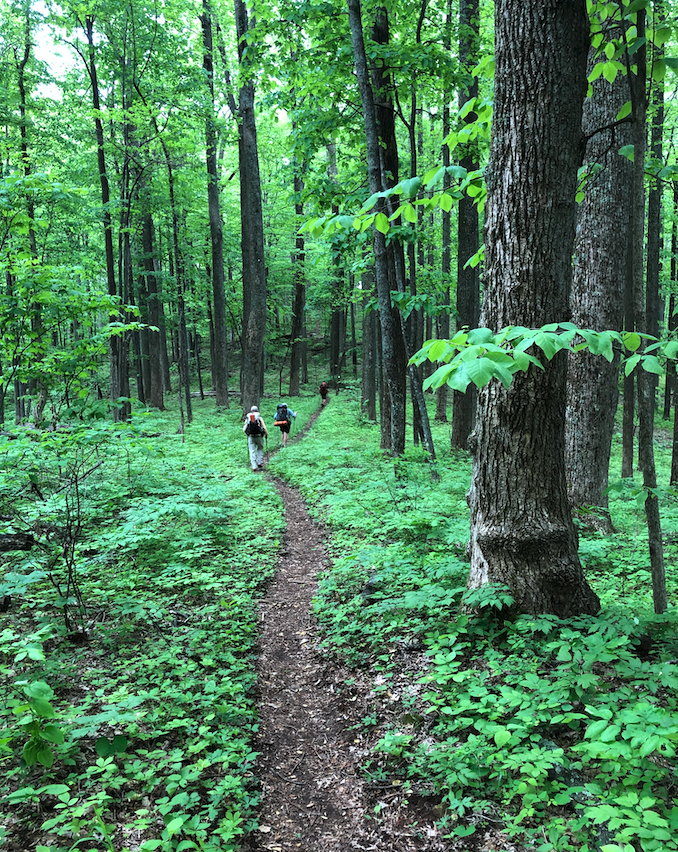 Screen_Shot_2019-05-14_at_10.34.34_PM.pn