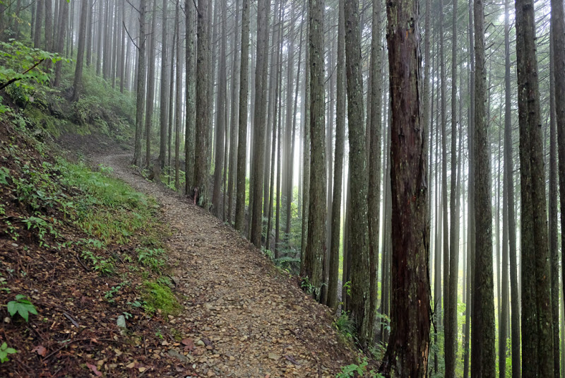 ShikokuHenro_Day27_10_Path_to_Shimosakab