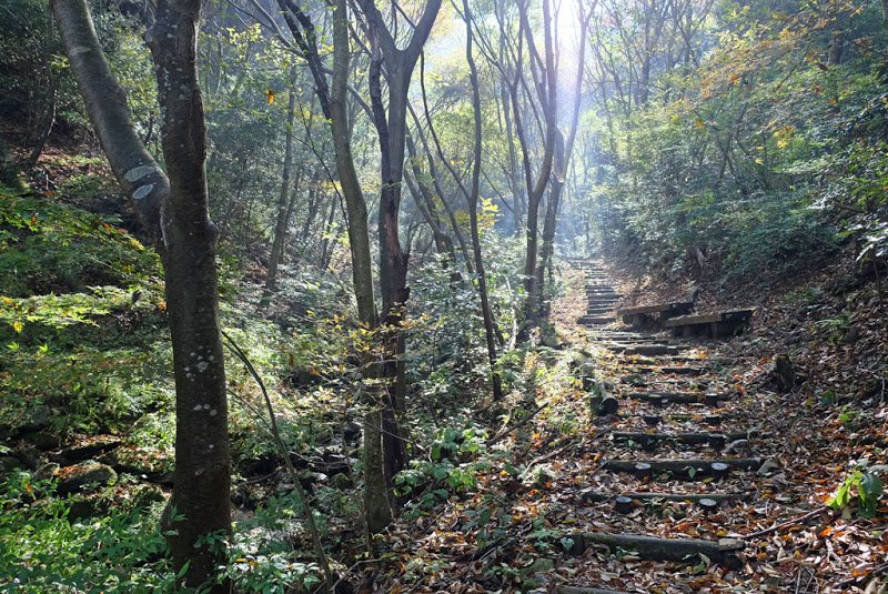 ShikokuHenro_Day43_07_The_path_to_Nyotai