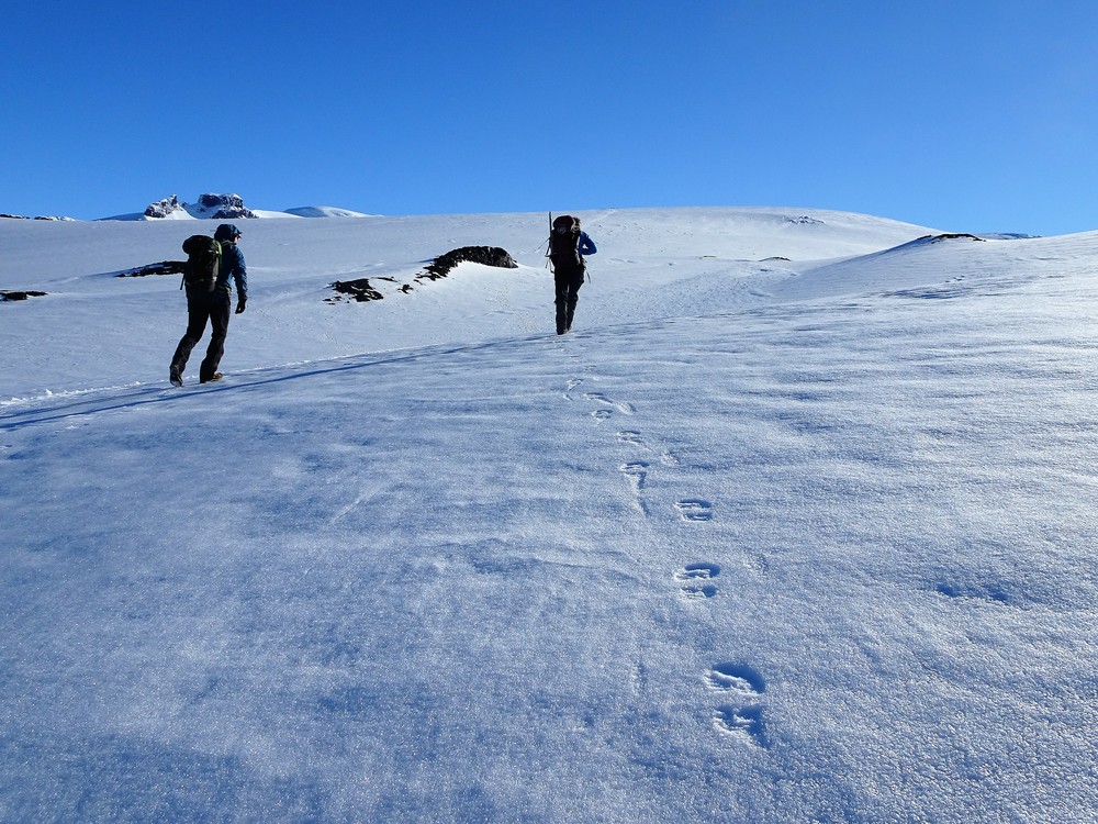 Hard og fin sne å gå på