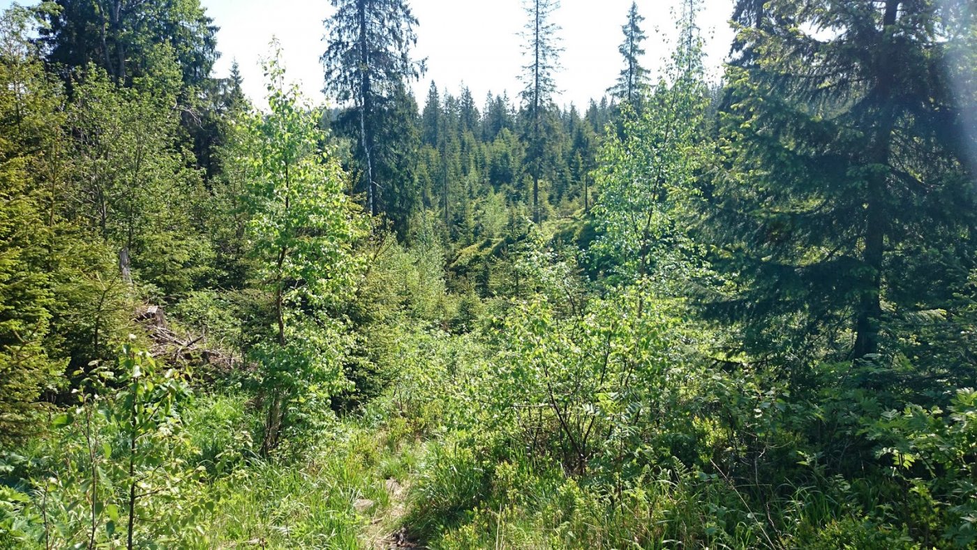 Jotunheimstien%252C+del+1+%252814%2529.J