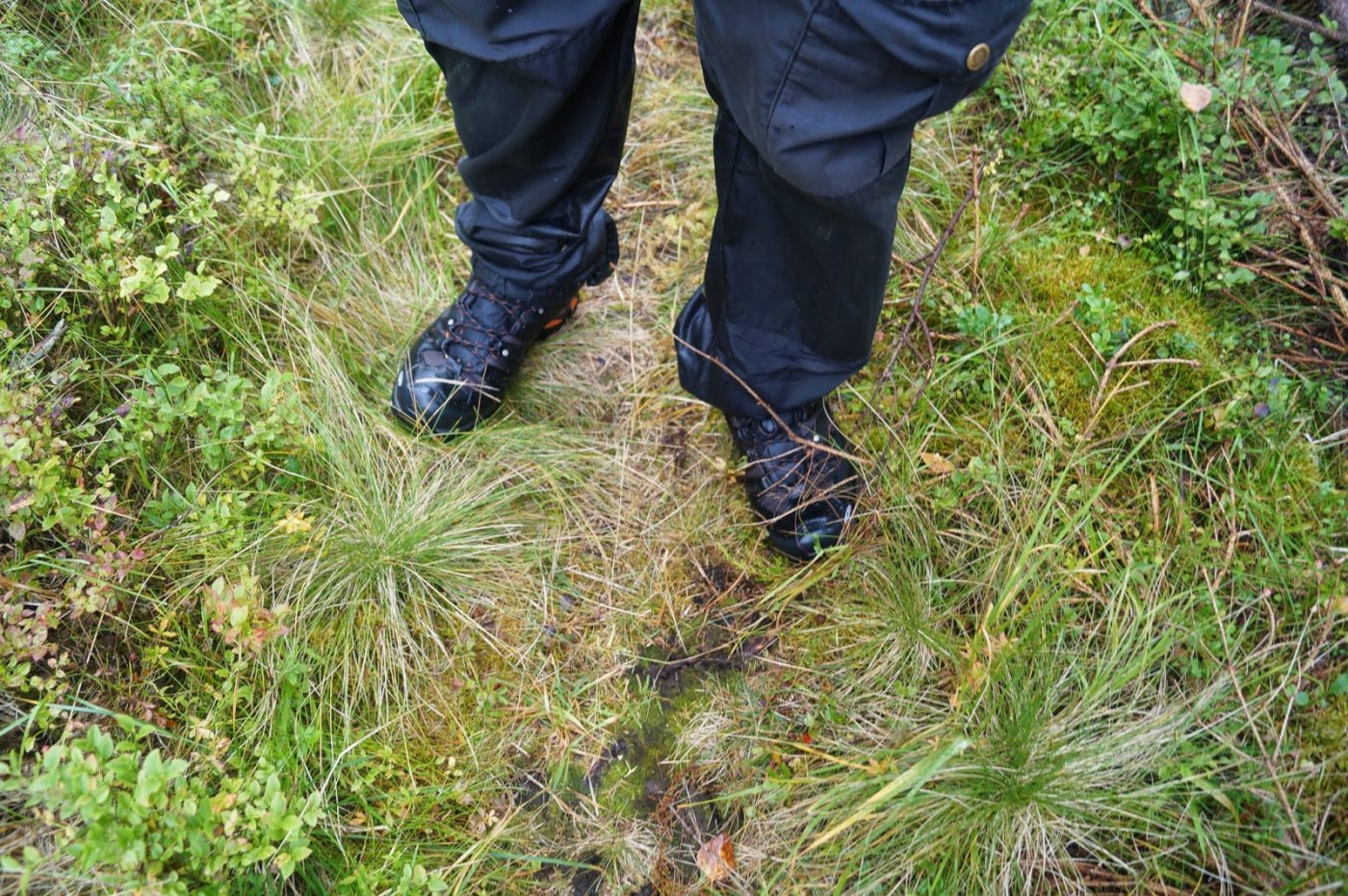 Jotunheimstien%2Bdel%2B2.%2BBrovoll-Lygn