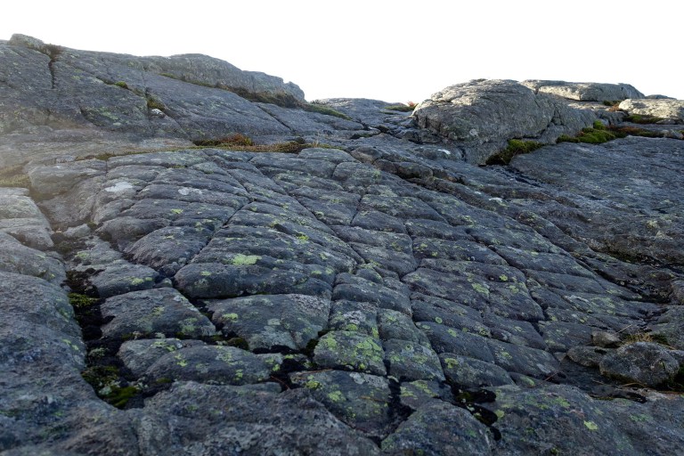 DSC00422.jpg?resize=768,512