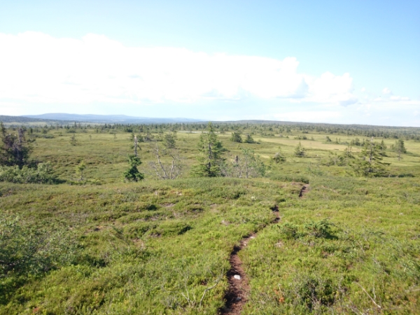 ac5aba6f-dd6d-4070-a9cc-419d14f86f60_zps