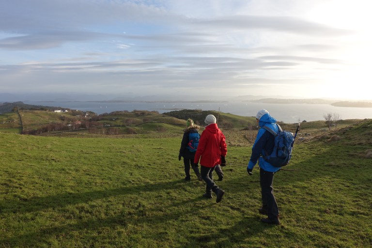 DSC00380.jpg?resize=768,512